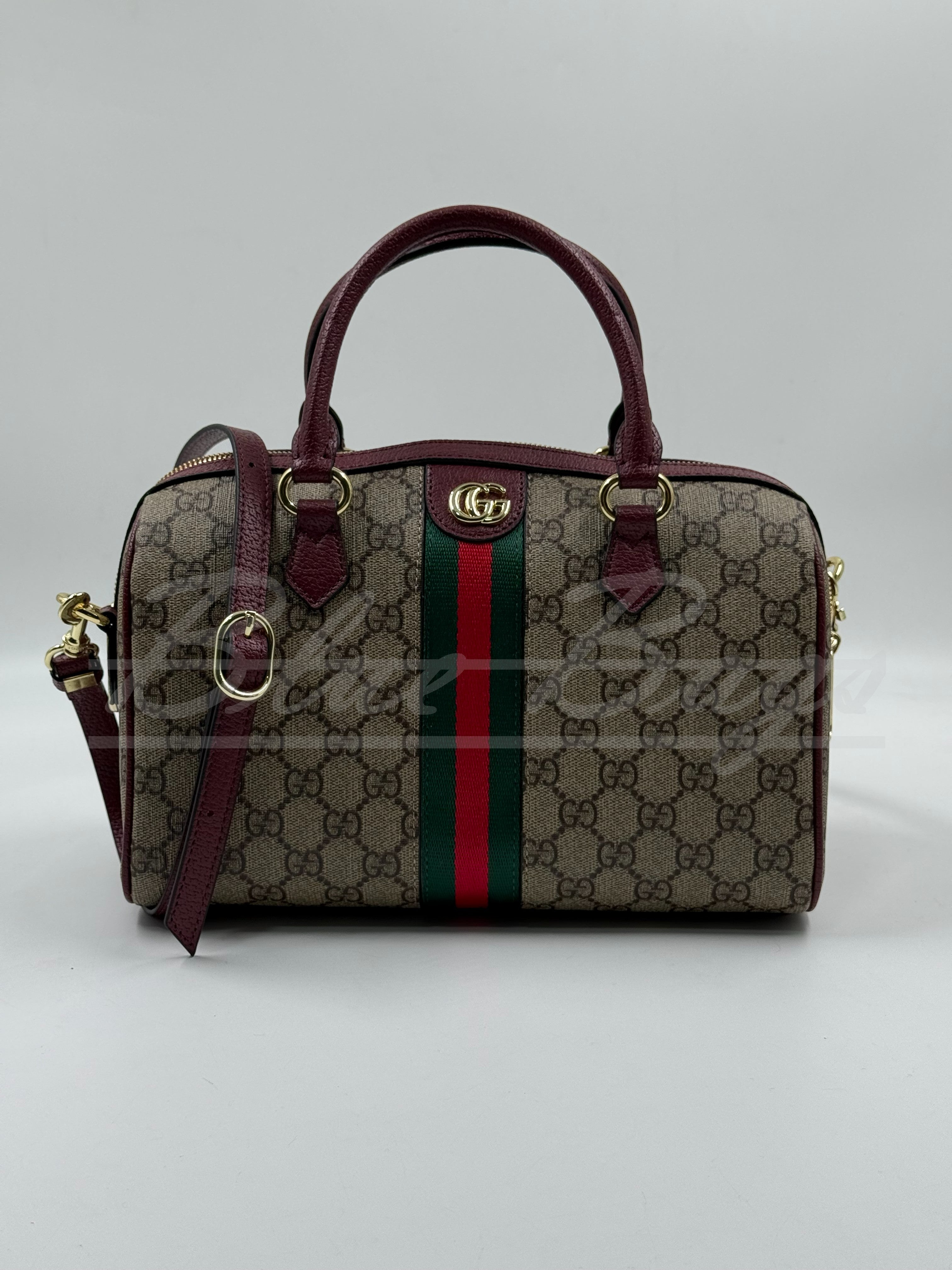 Luxury Bag – Timeless Design