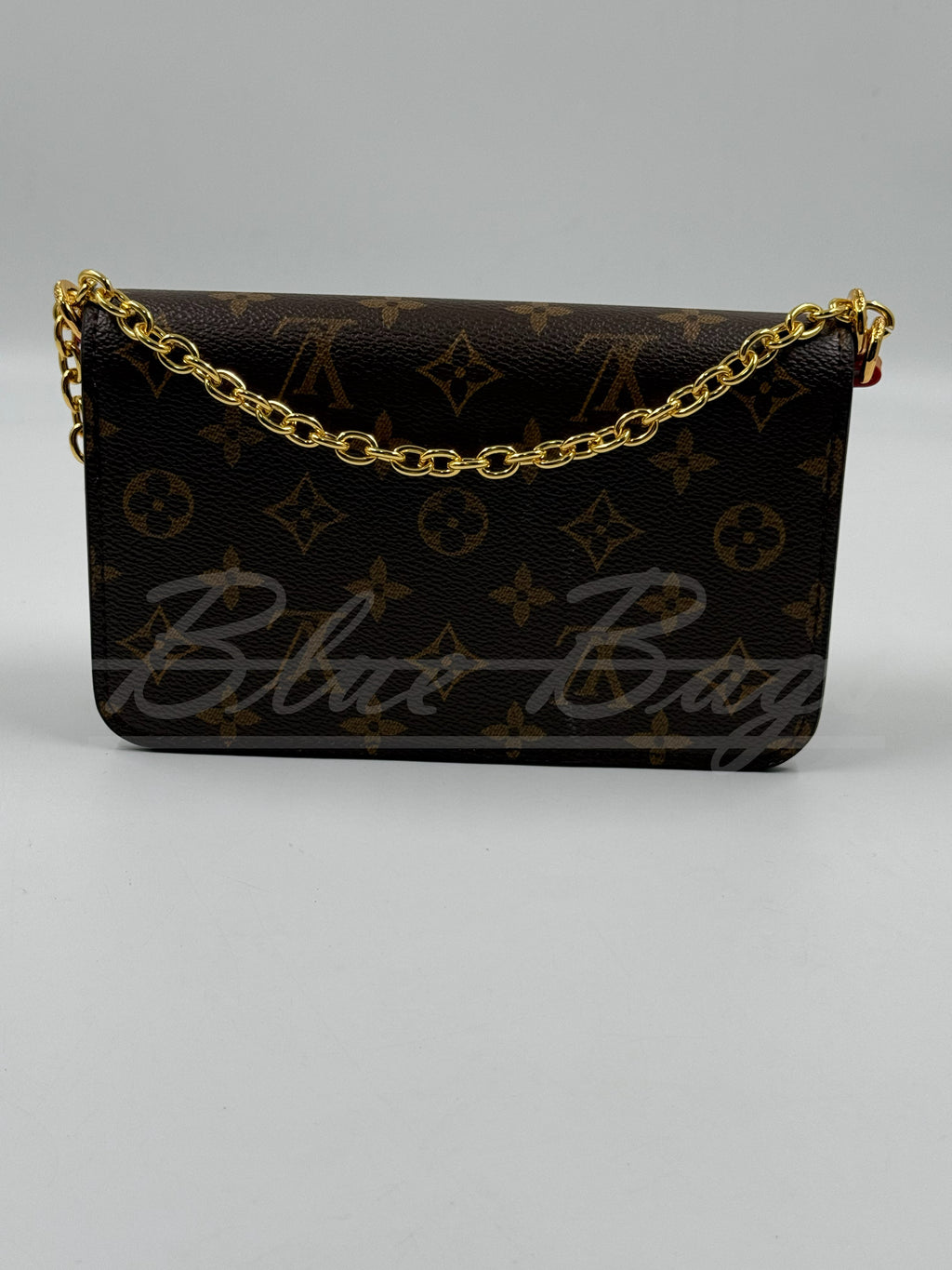 Luxury Women’s Bag