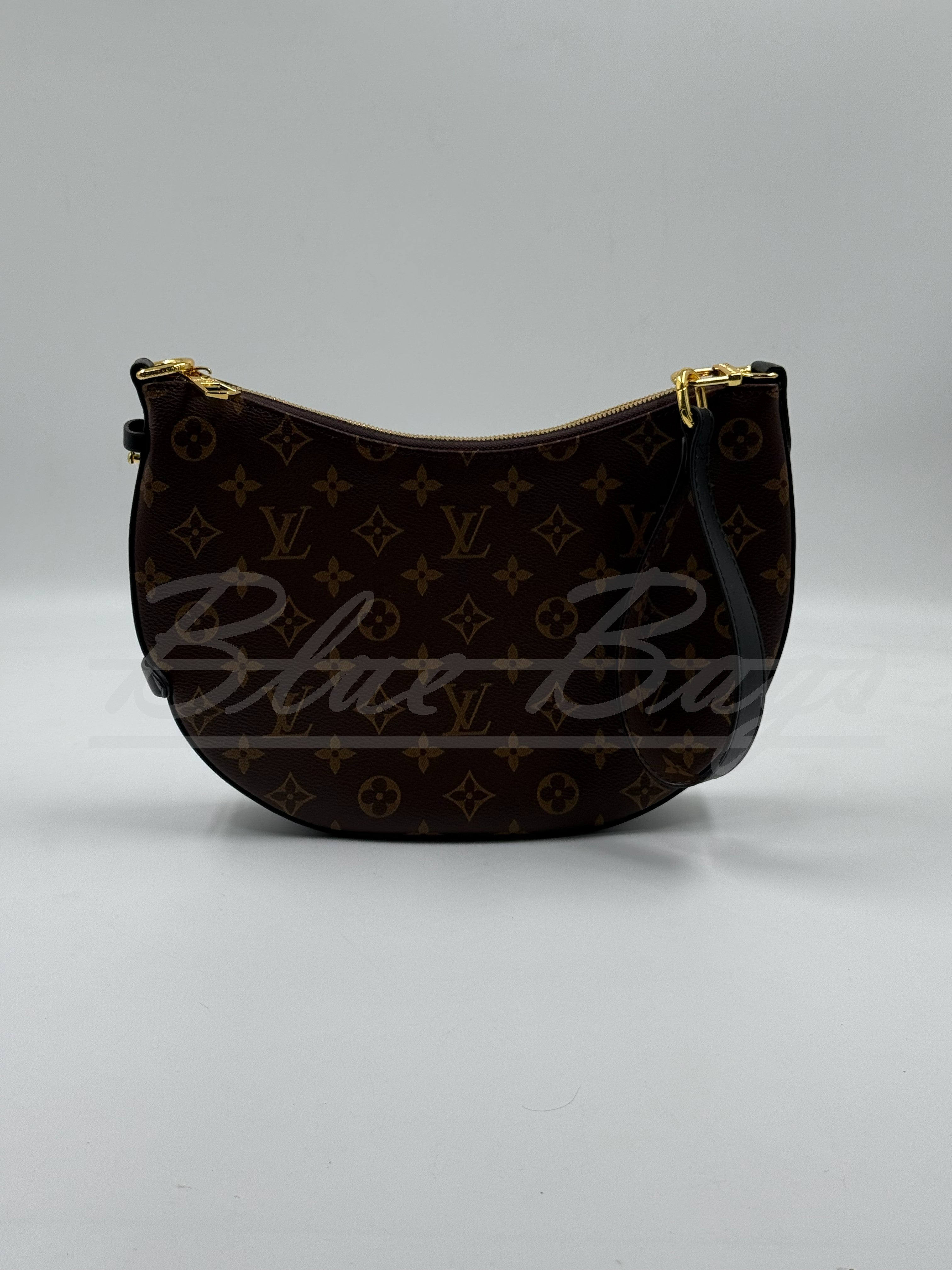 Luxury Women’s Bag