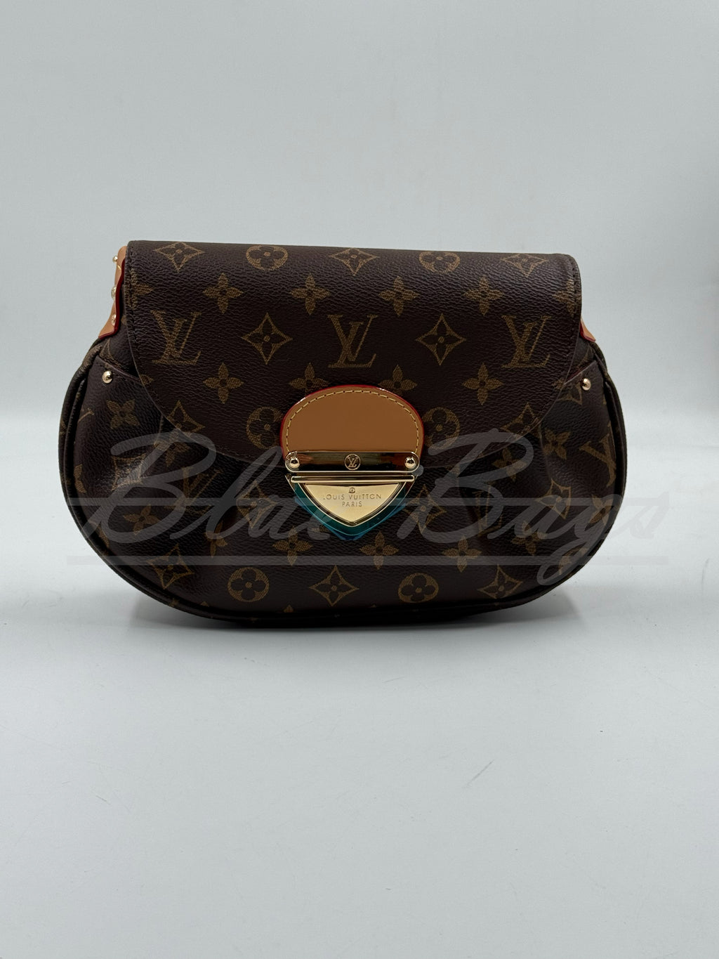 Elegant Women’s Bag
