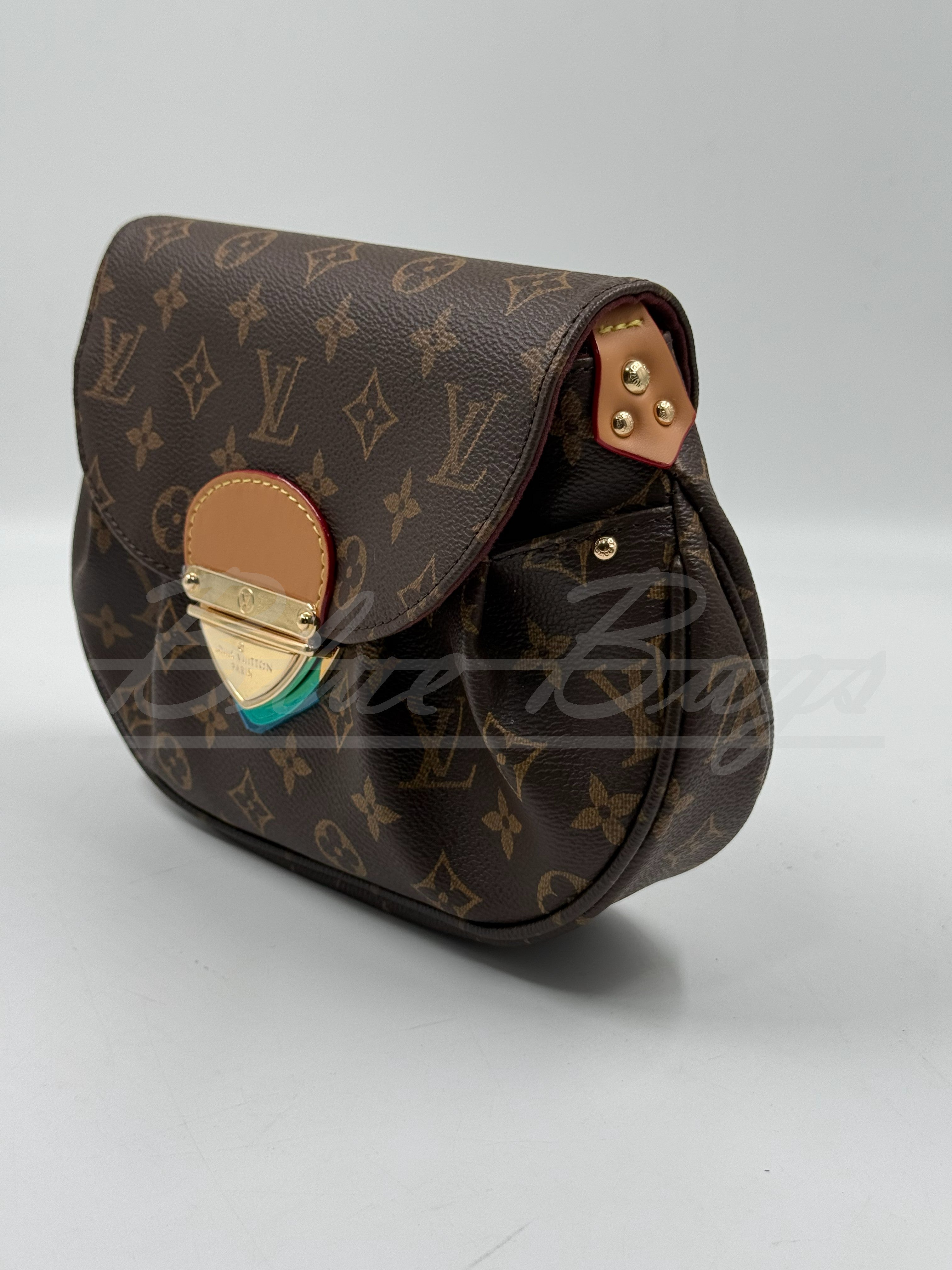 Elegant Women’s Bag