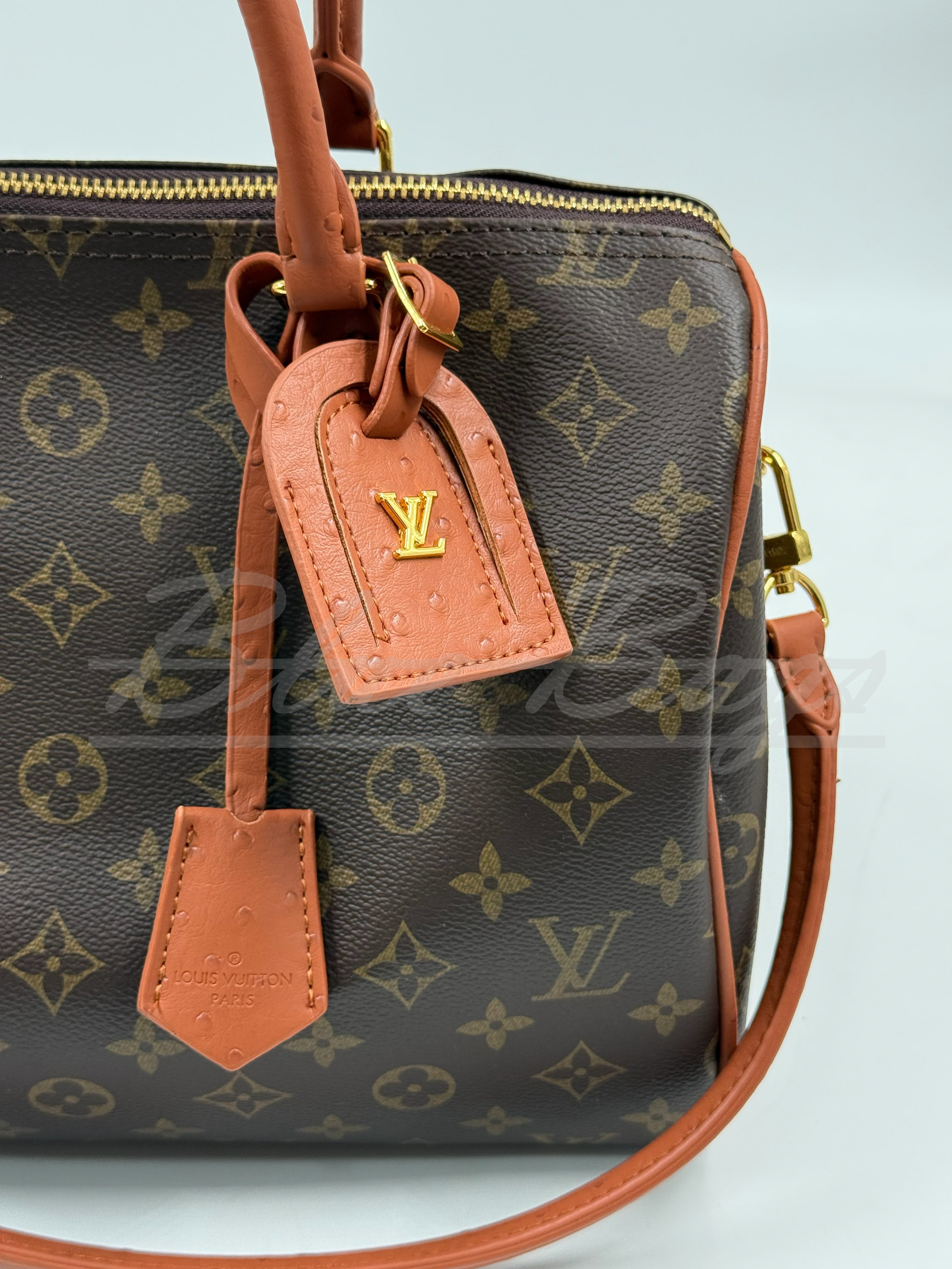 Elegant Women’s Bag