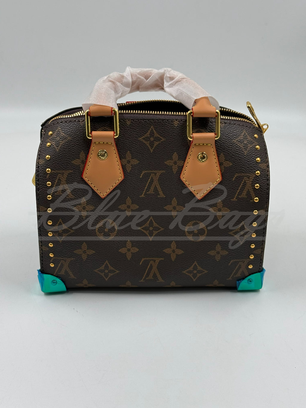 Elegant Women’s Bag