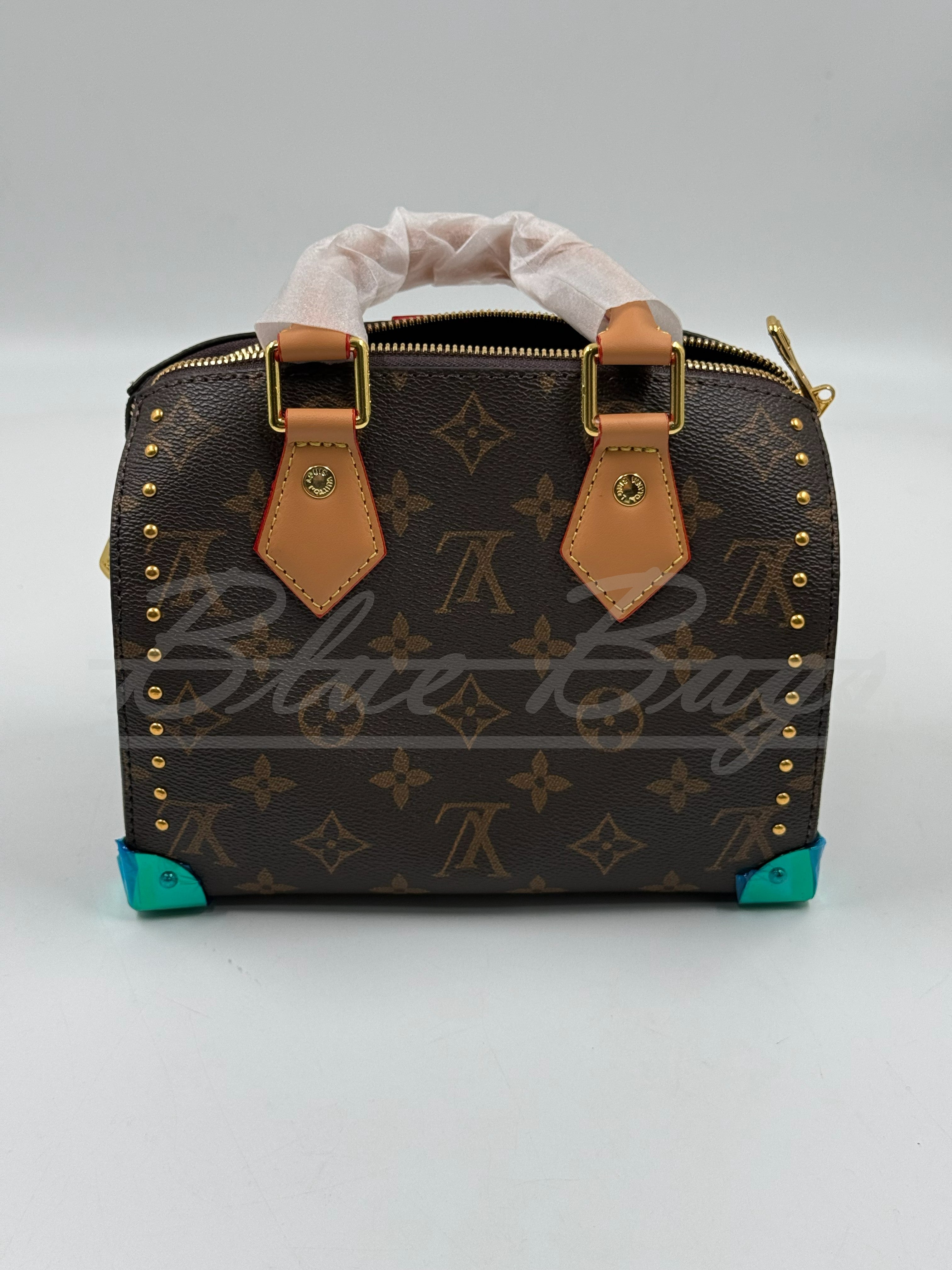 Elegant Women’s Bag